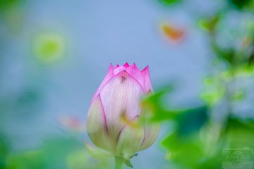 _DSC7656