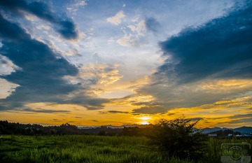 _DSC0965