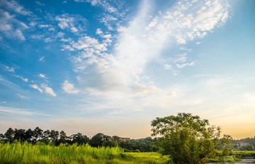 _DSC1614