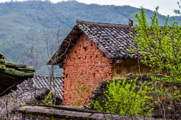 _DSC5861