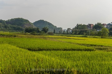 _DSC5619