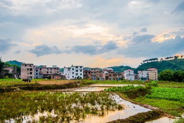 _DSC2262