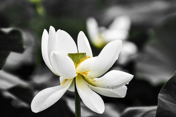 _DSC6321