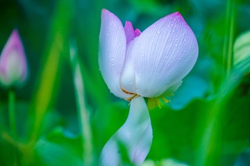 _DSC0200