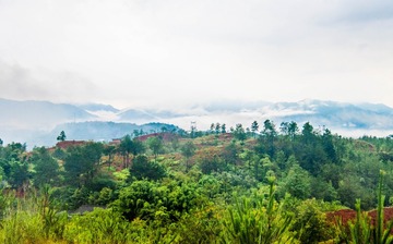_DSC03172