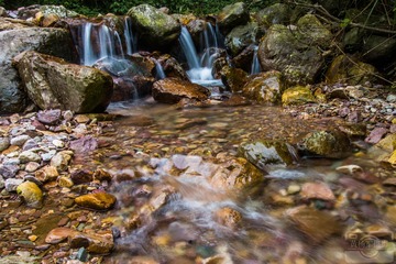 _DSC2242