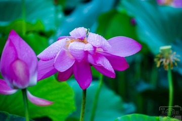 _DSC8634