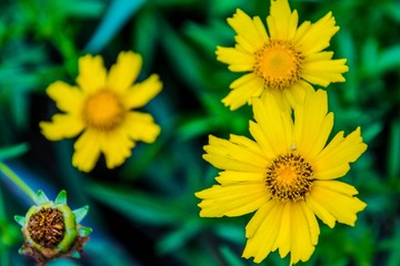 _DSC8076