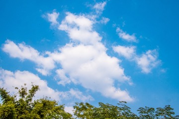 _DSC9805