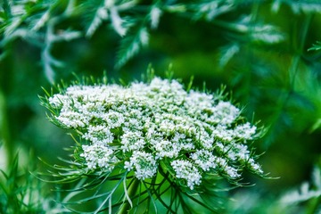 _DSC3795