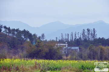 347643