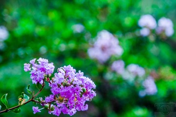_DSC7593