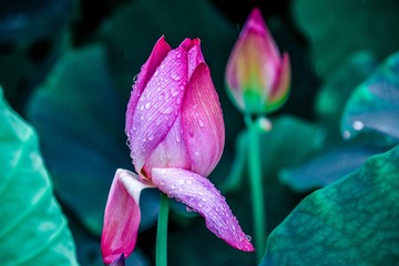 _DSC6606