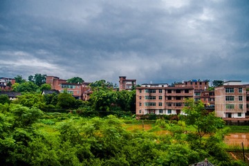 _DSC8895