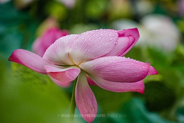 _DSC8457