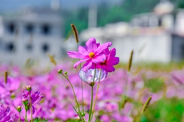 _DSC5149