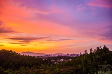 _DSC1422