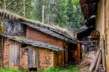 _DSC58144