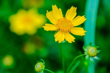 _DSC7982