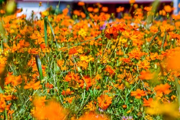 _DSC5103