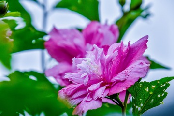 _DSC6214