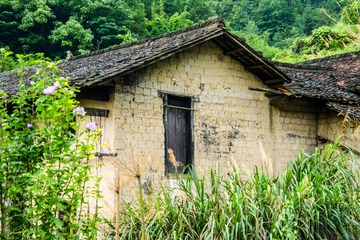 _DSC8164