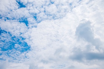 _DSC8955