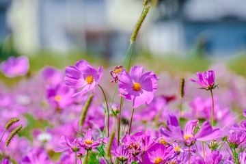 _DSC5153