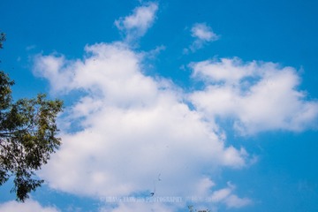 _DSC9799