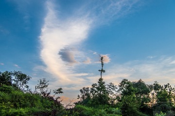 _DSC1676