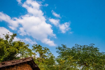 _DSC9804