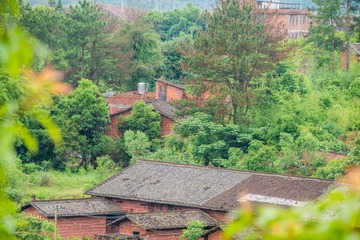 _DSC1061