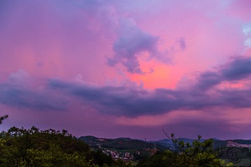 _DSC38119