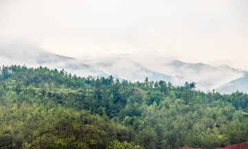 _DSC04107