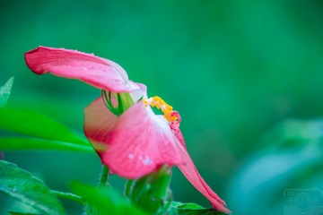 _DSC8137