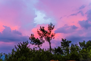 _DSC3809