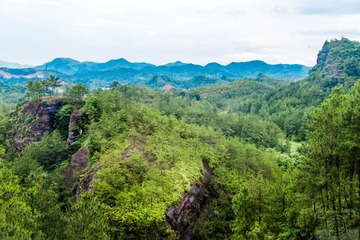 _DSC1117