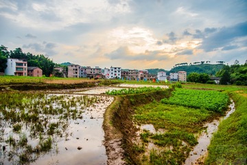 _DSC2276