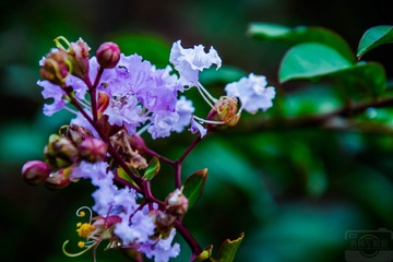 _DSC7582
