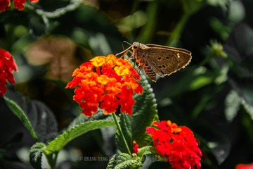 _DSC9170