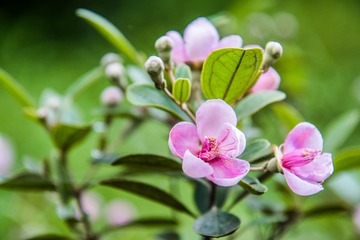 _DSC8041