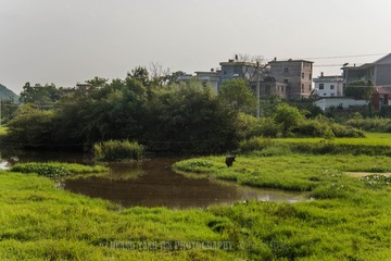 _DSC5612