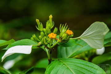 _DSC2327