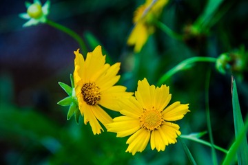 _DSC8079