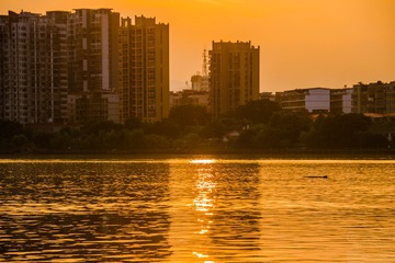 _DSC2590