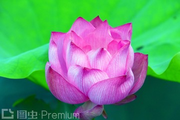 _DSC5576