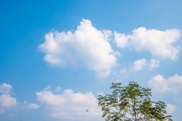 _DSC9803