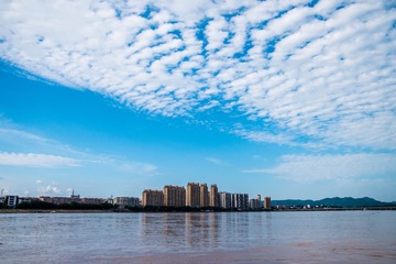 _DSC7365