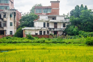 _DSC0167