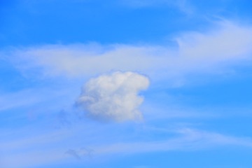 _DSC9387